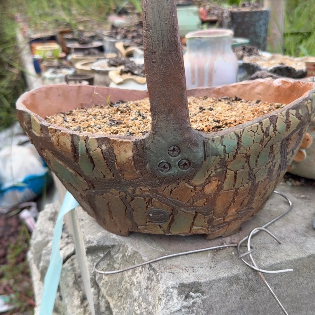 重庆小燕子欢迎大家