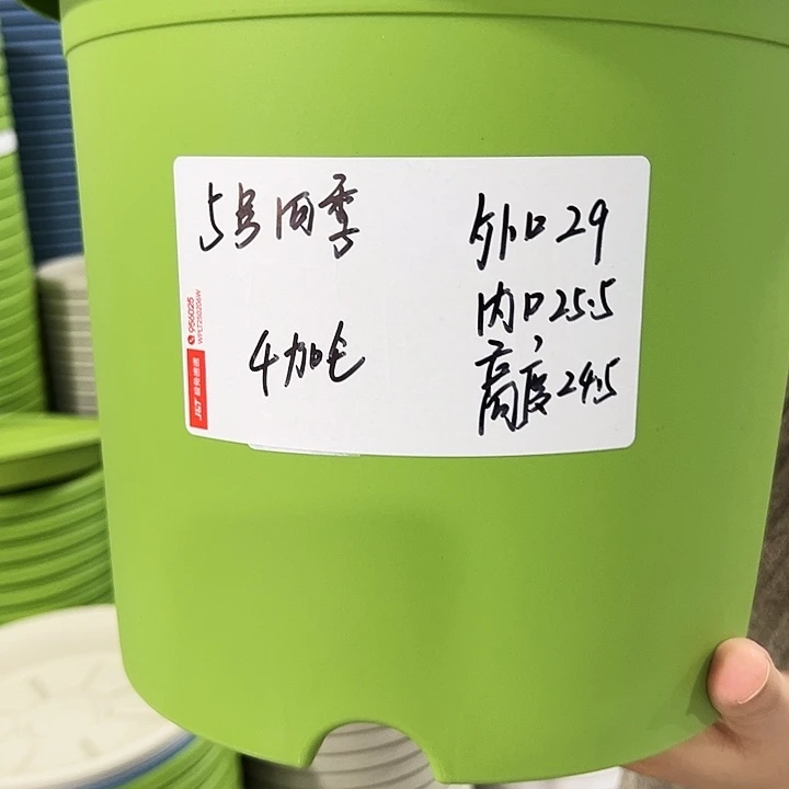 特价5号四季口29高24.5果绿色5个无托