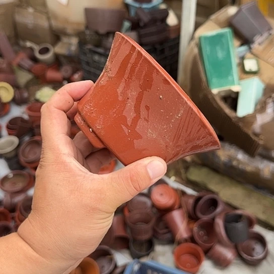 是一个集休闲农业的休闲胜地以及现代生活