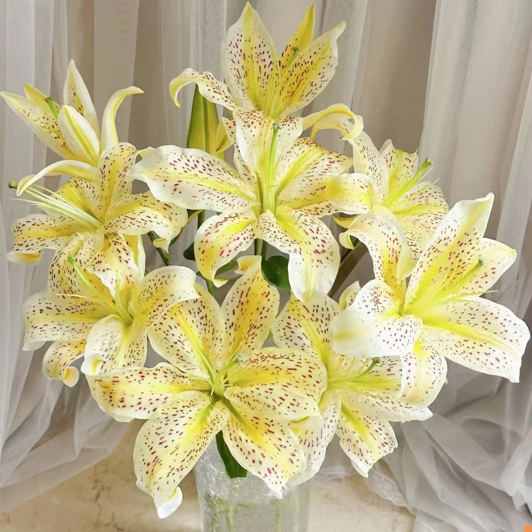 【淡香清新】老虎沐恩多头百合 新鲜直达 居家瓶插花礼优选