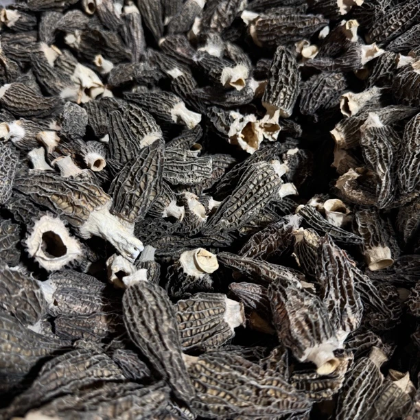 精品小个六妹羊肚菌0707