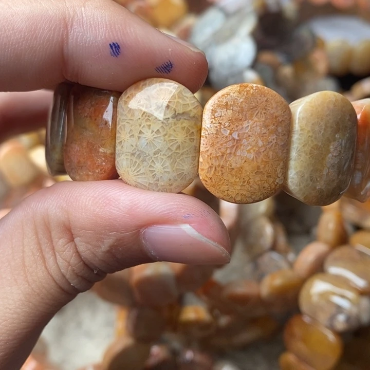 五***鱼颈饰未镶嵌硅化珊瑚（珊瑚玉）