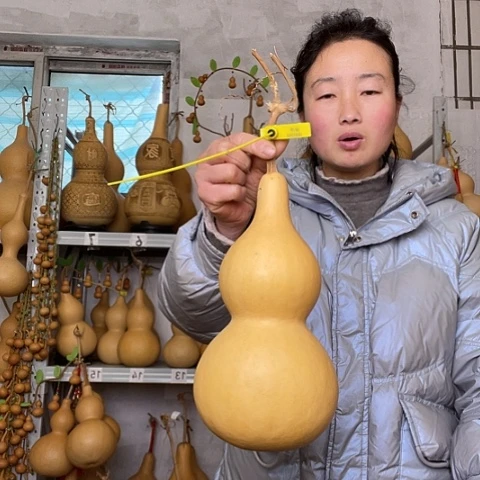 家**美天然植物葫芦文玩