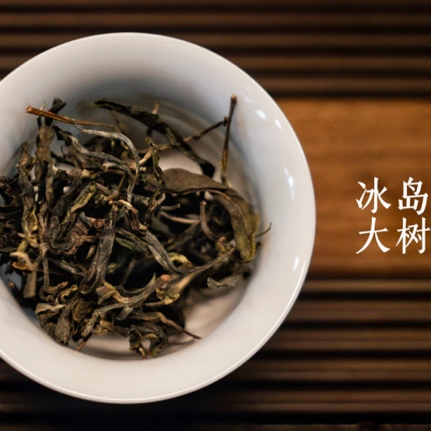 【冰岛大树】2023春  30克茶样品鉴