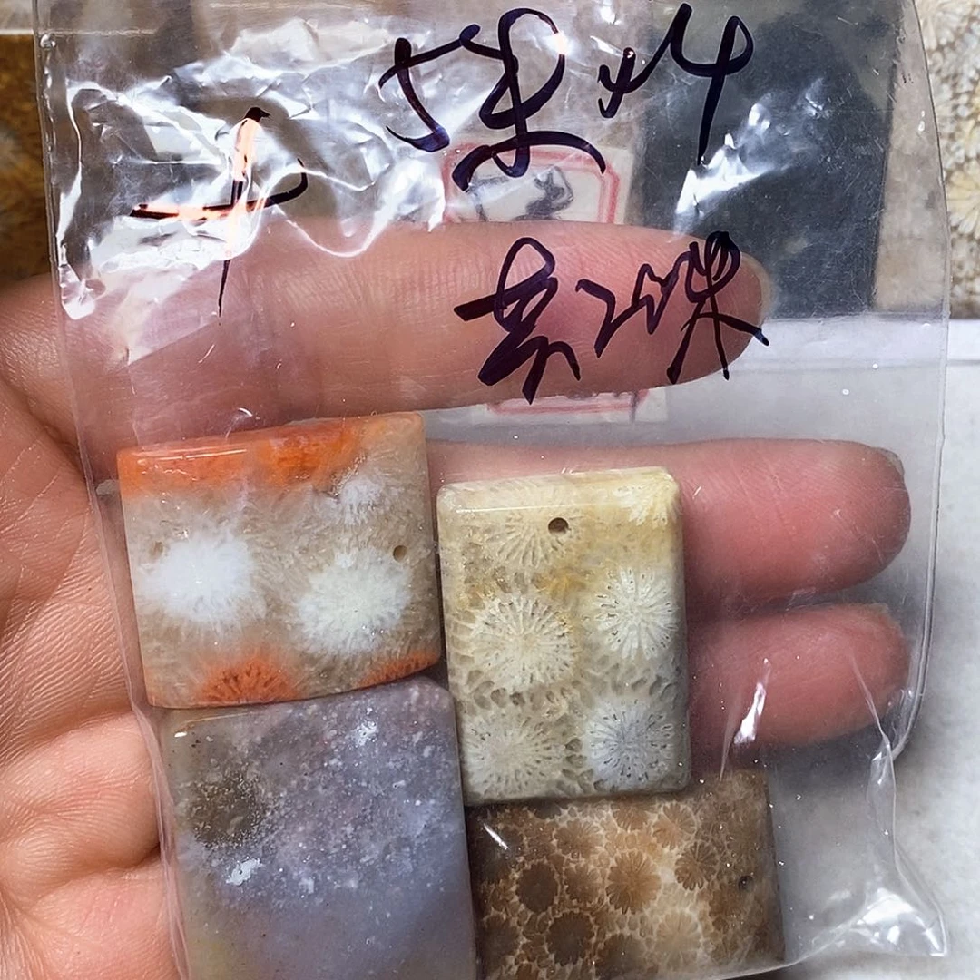 硅化玉颈饰未镶嵌十