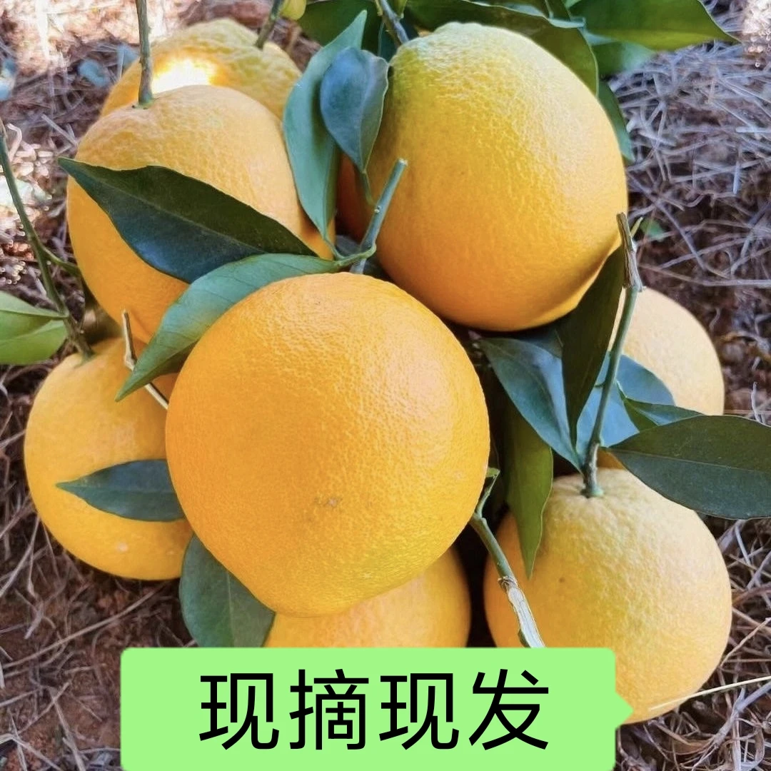20斤装正宗赣南脐橙江西橙子应季水果原产地现摘现发！顺丰发货