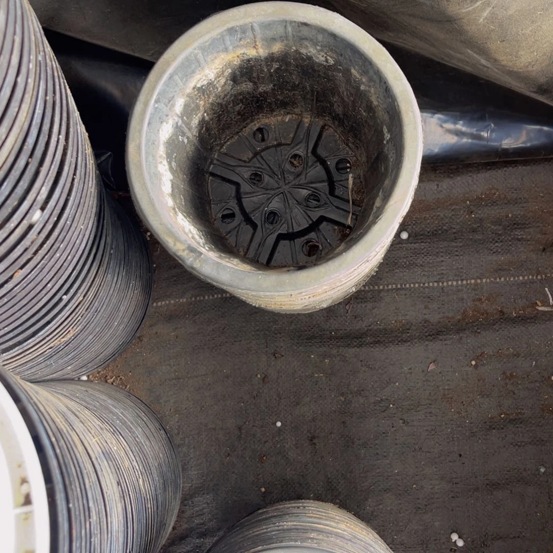 旧口径18高15黑砖盆18个