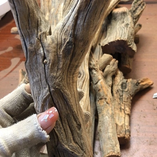 大果紫檀（缅甸花梨）8**9