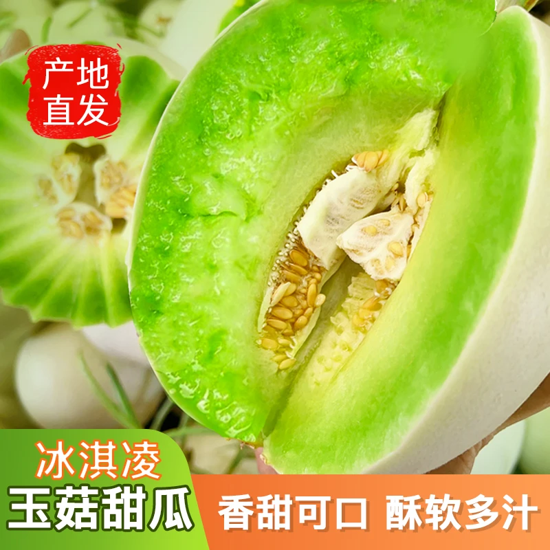 头茬山东玉菇甜瓜玉菇冰淇淋甜瓜新鲜水果香瓜蜜瓜包邮产地5斤9斤