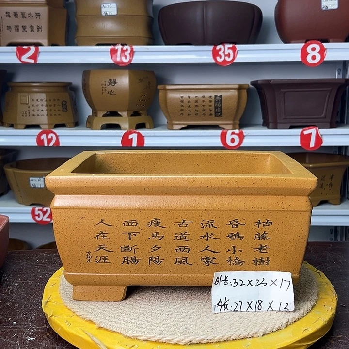 花盆紫砂你在一起