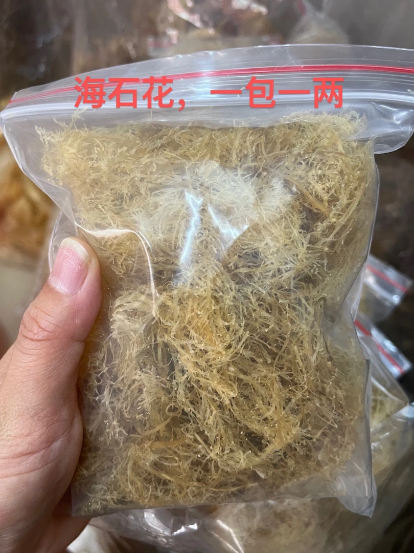 广东汕尾港正宗九膏狗毛膏草海石花