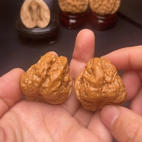 核桃35尺。     蛤蟆头