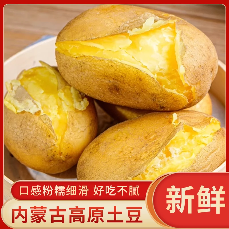 【内蒙古高原土壤种植】内蒙古黄皮黄心土豆农家自种粉糯香甜源头发