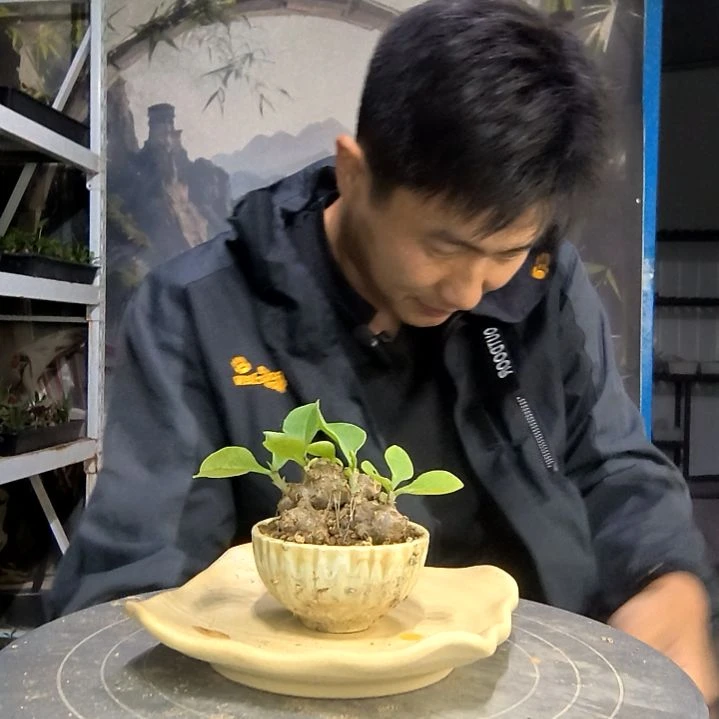 s****r中青园艺一物一拍137