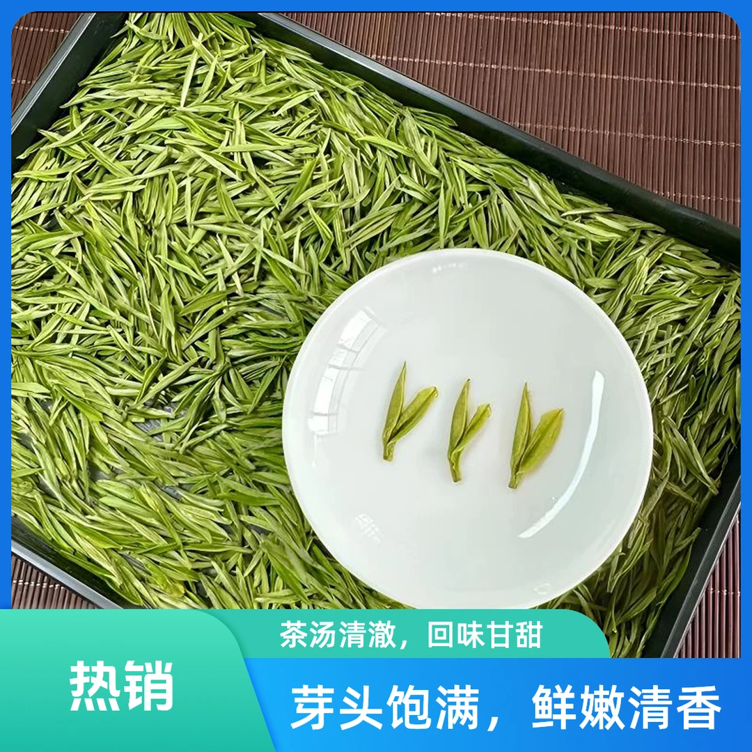 【安吉25年新茶试喝活动】早春白茶春茶兰花香2025高山绿茶