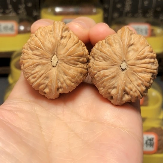 楼*精品平底锅货头（打底不退不换）