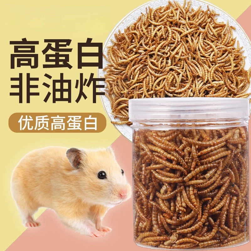面包虫干黄粉虫干仓鼠乌龟粮八哥鸟食芦丁鸡饲料宠物零食