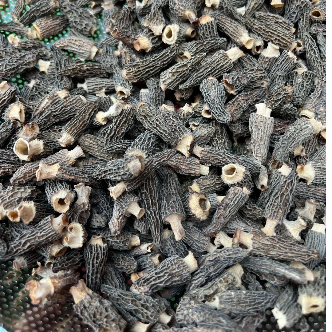 【喜妹专属】云南新鲜七妹羊肚菌干货