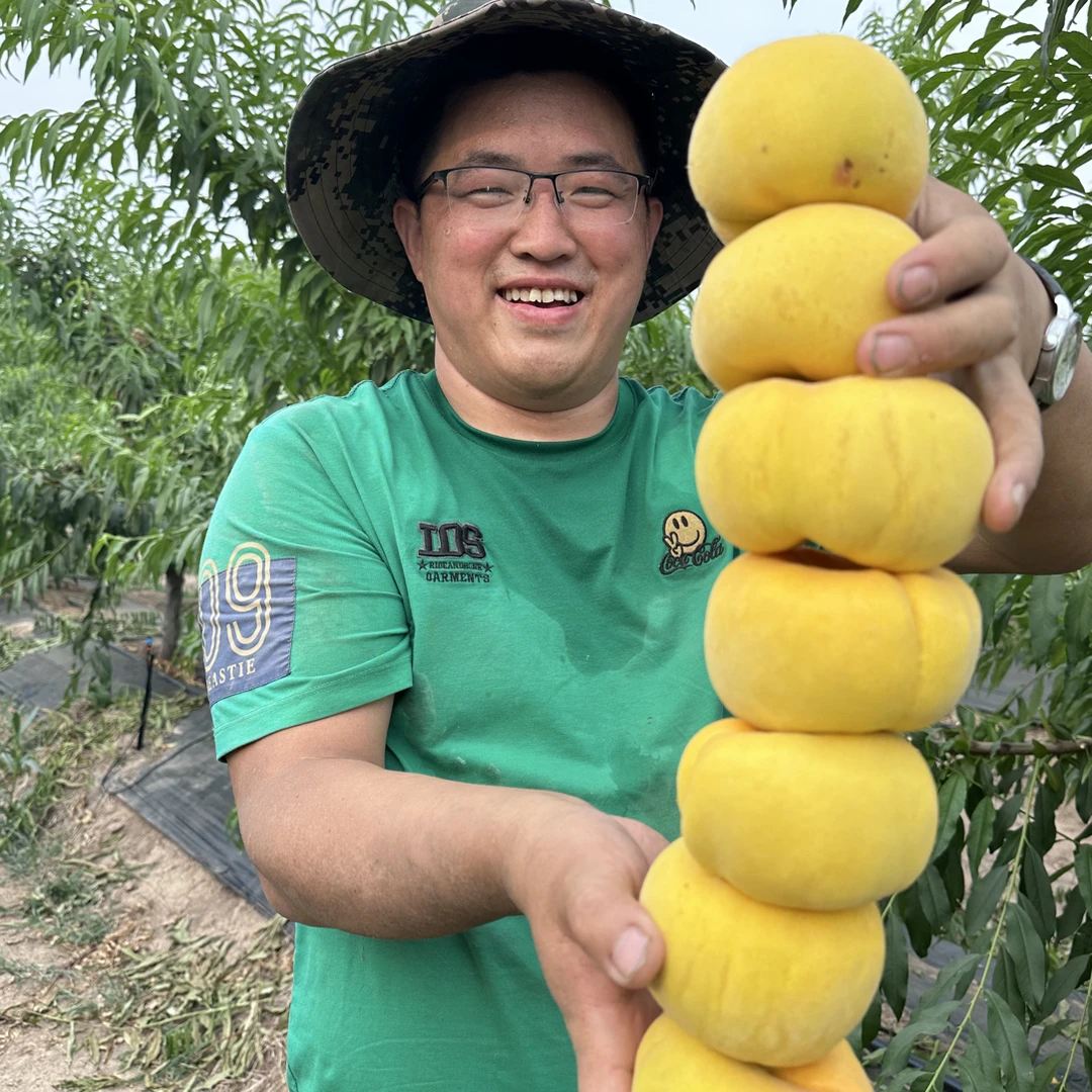 金蟠99特级苗（秋后发苗，先发够苗指南）