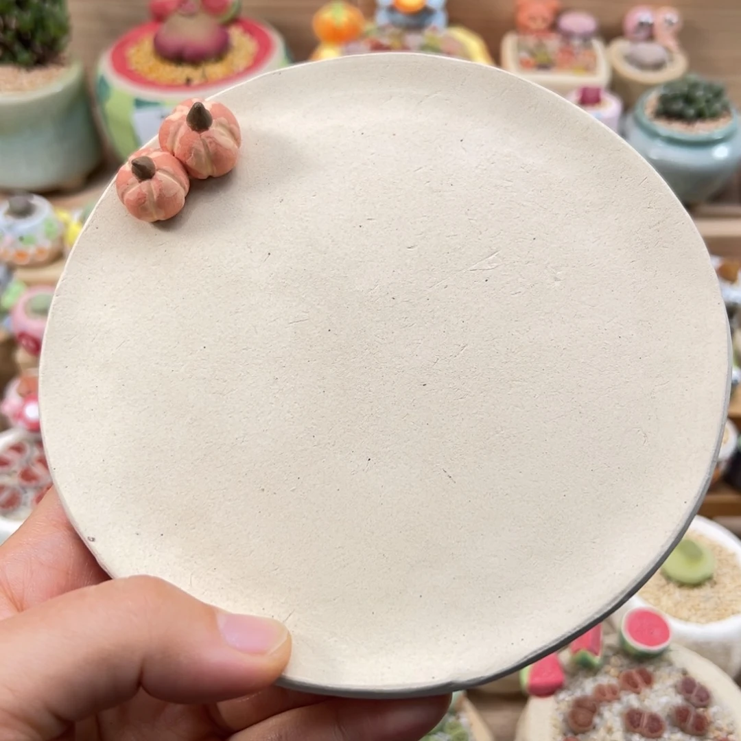 多肉植物108号托盘