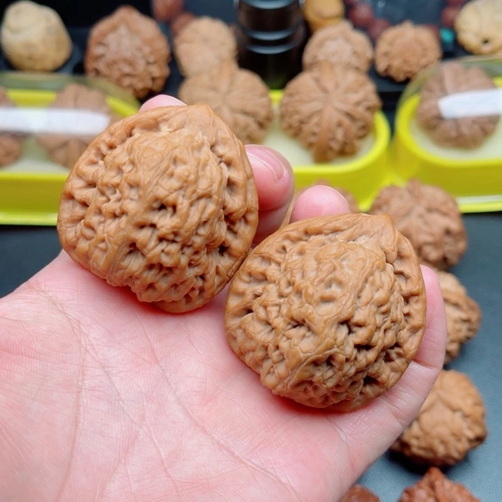 文玩核桃把件金公子狮子头43×39×46