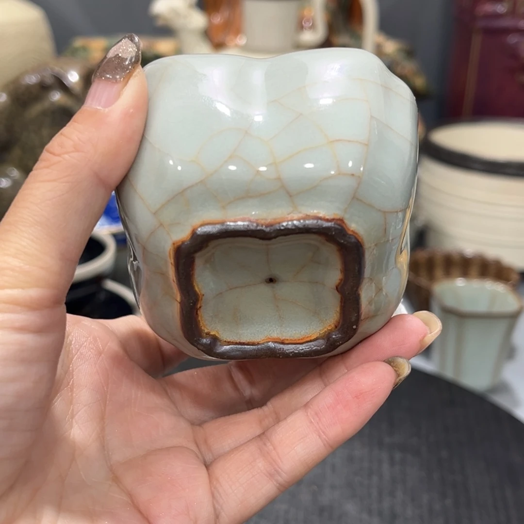 摆件这个世界上最好的朋友