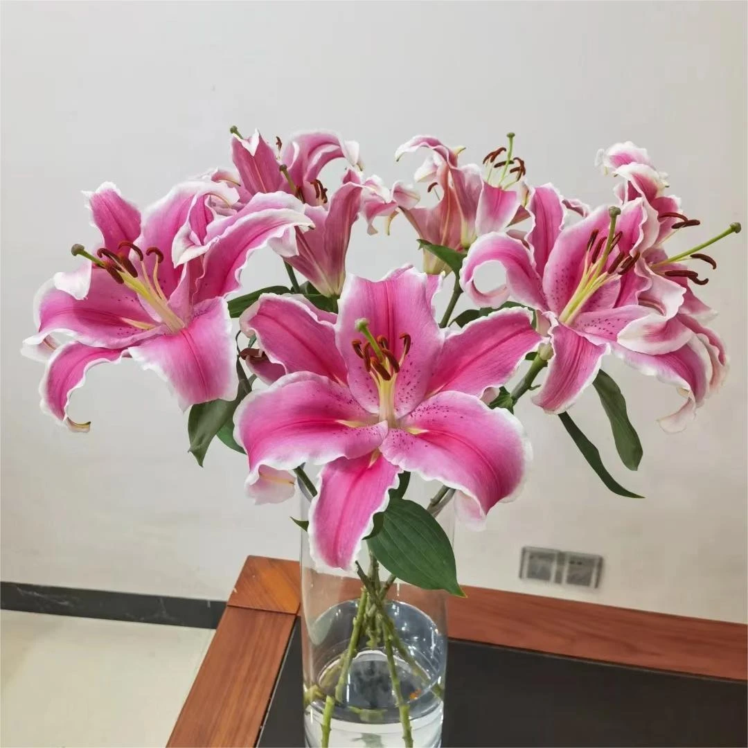 【马龙百合鲜花】云南直发玫瑰鲜花两单顺丰冷链包邮MG
