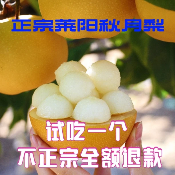 【憨憨专属】正宗山东爆汁莱阳梨脆甜多汁