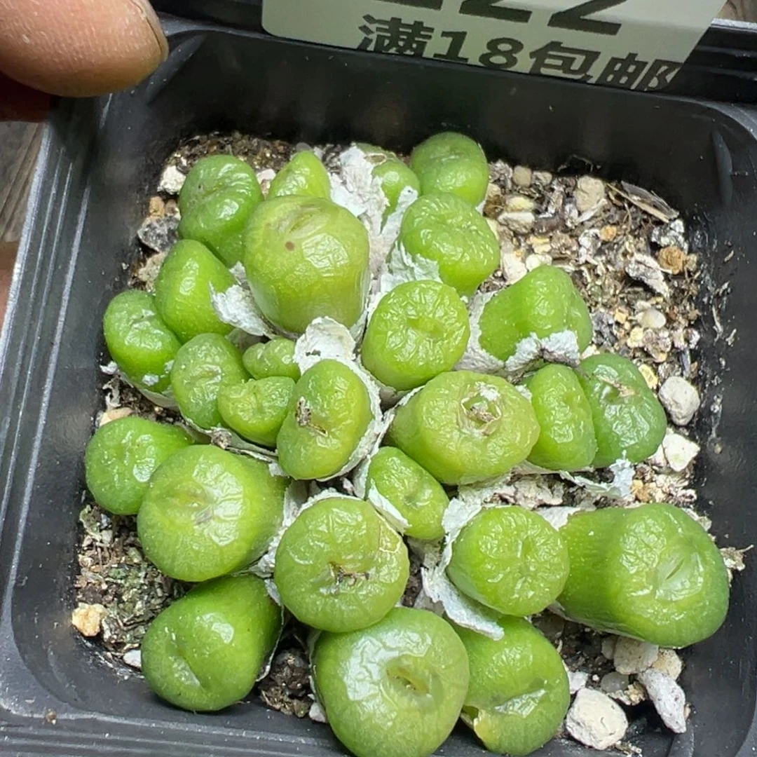 【闪购商品】 222。