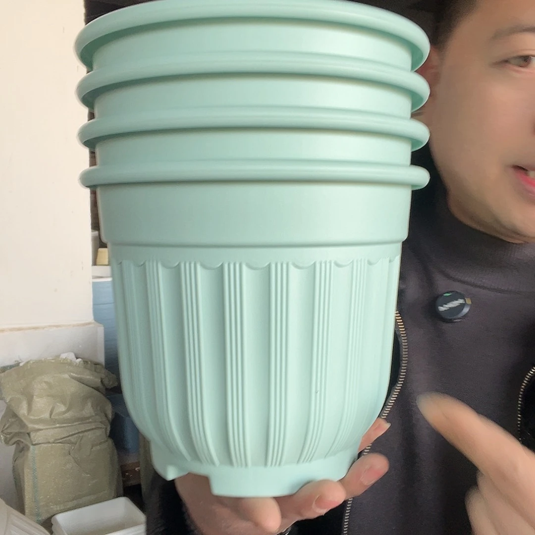 树脂罗马210浅绿5个无托