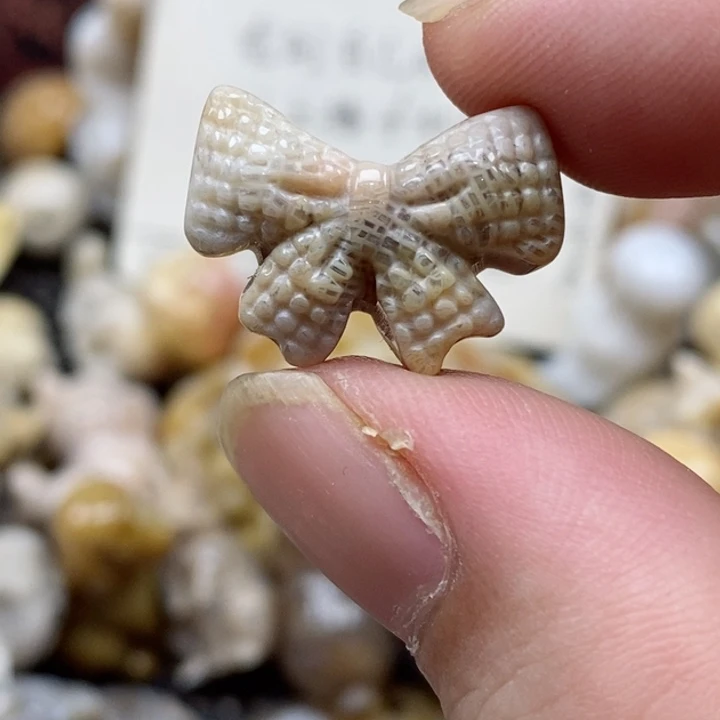 颈饰未镶嵌硅化珊瑚（珊瑚玉）小