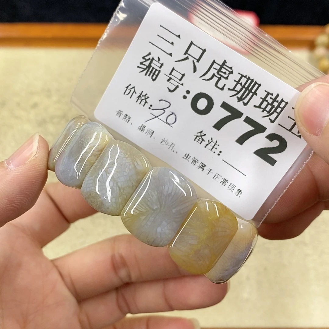 硅化珊瑚（珊瑚玉）1未镶嵌