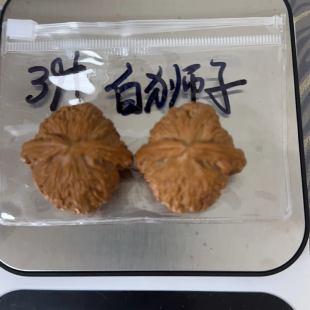 文玩核桃白狮子39+尺寸，克重：32