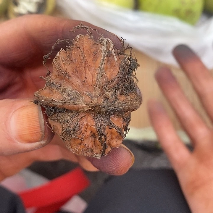文玩核桃青皮狮子头