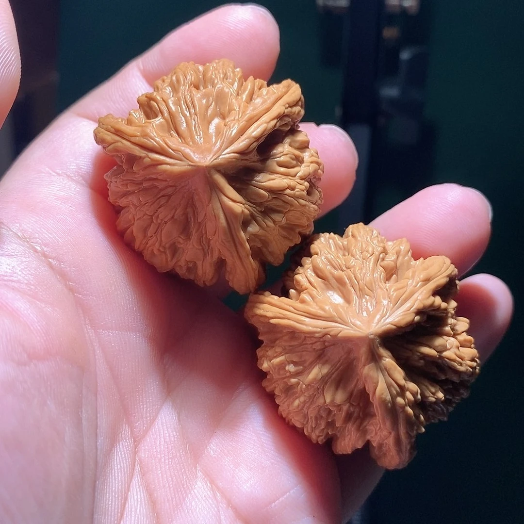 文玩核桃把件42虎头三棱全品