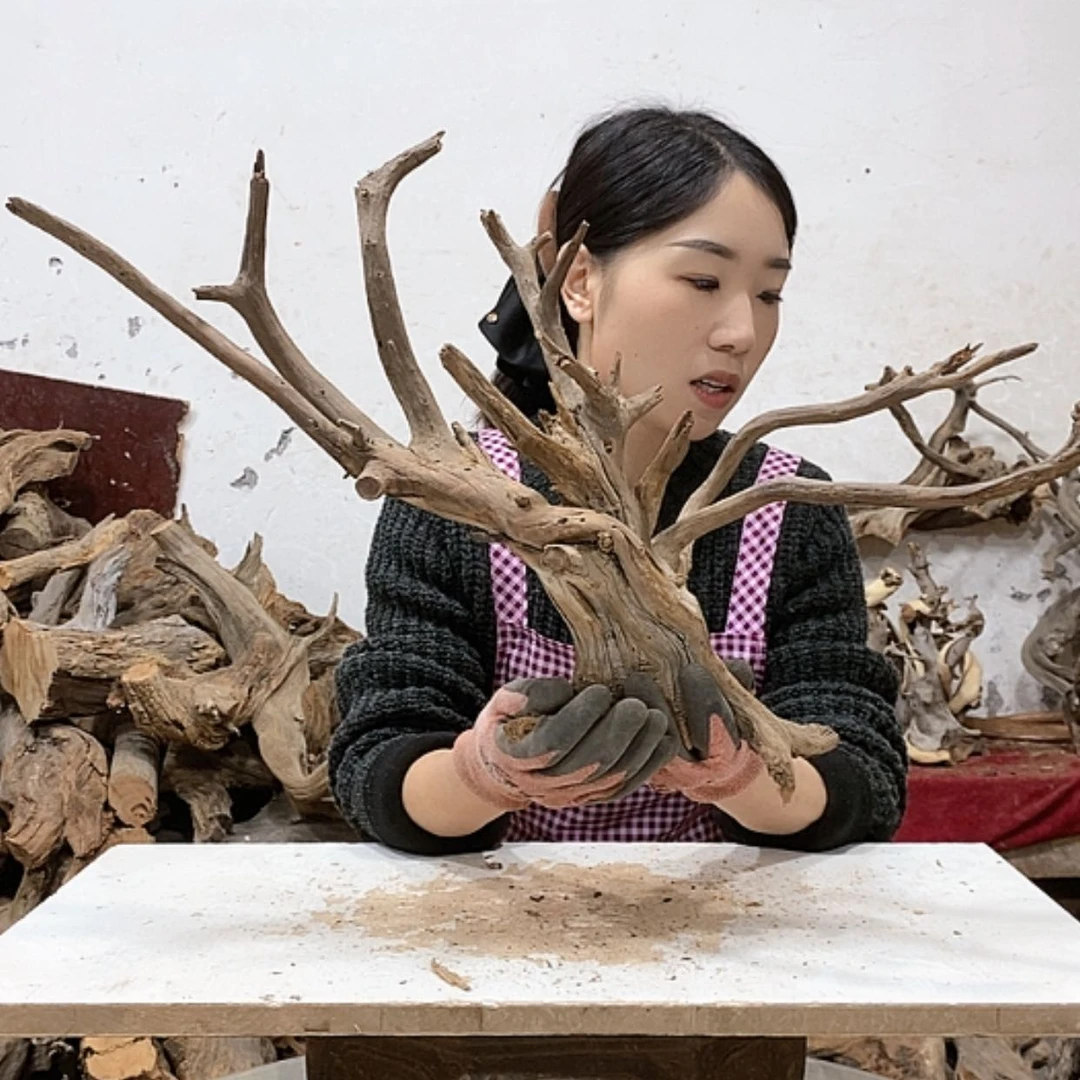 【闪购商品】柏木小*我们都是好孩子