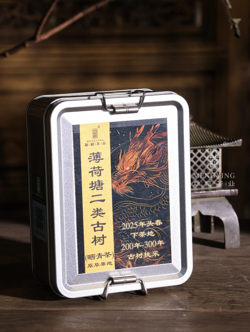 【薄荷塘二类】2025薄荷塘古树m生茶普洱茶散茶50g罐装春茶