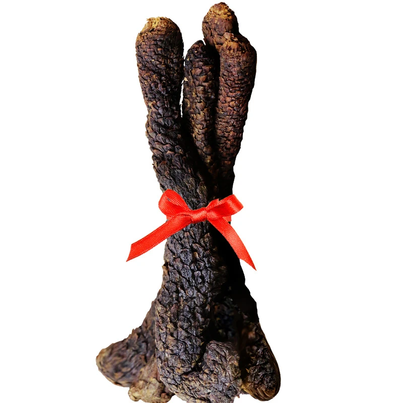 沙漠人参肉苁蓉野山特级内蒙古阿拉善荒漠松蓉中药材500g正品整根