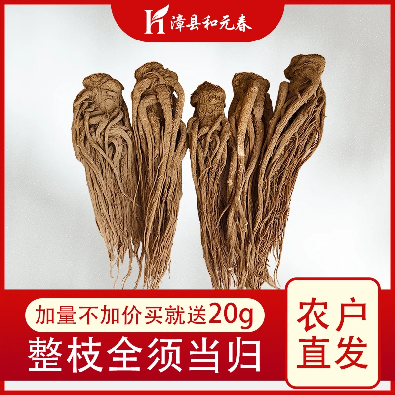 甘肃当归岷归干货当归农户直发高山自产自销党参