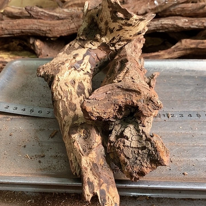 花梨木类北**线海南花梨