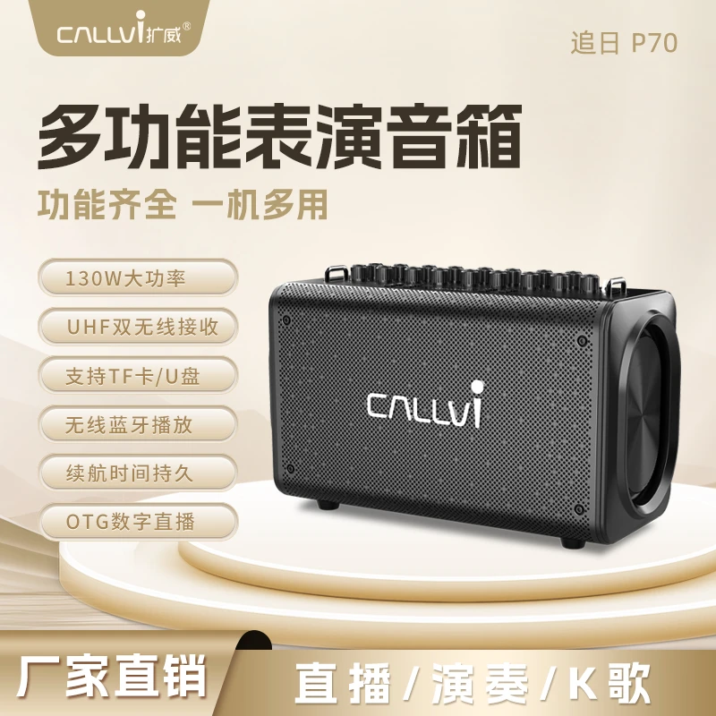 CallVi/扩威P70大功率乐器音响蓝牙音箱户外演奏电吹管便携音响