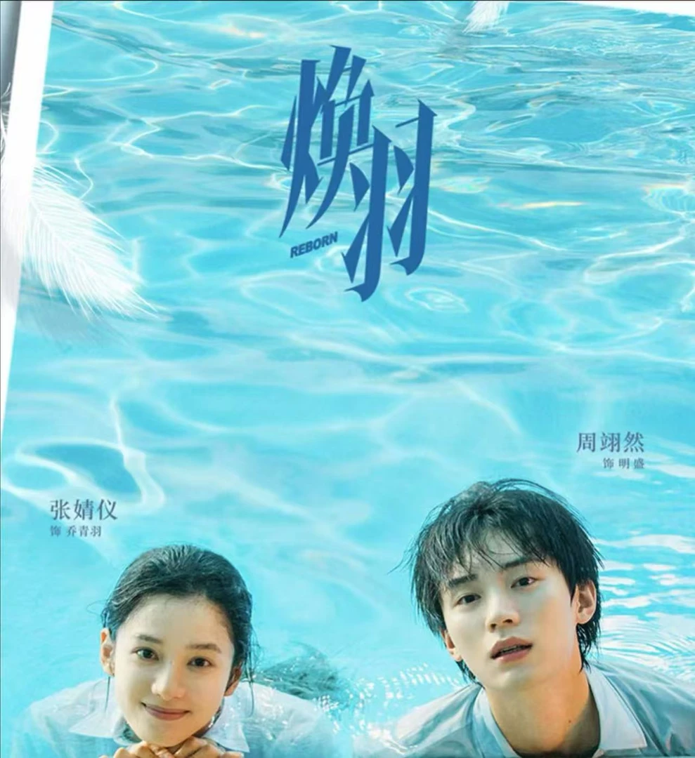 【推推】《焕羽》影视收藏纪念卡默认代拆