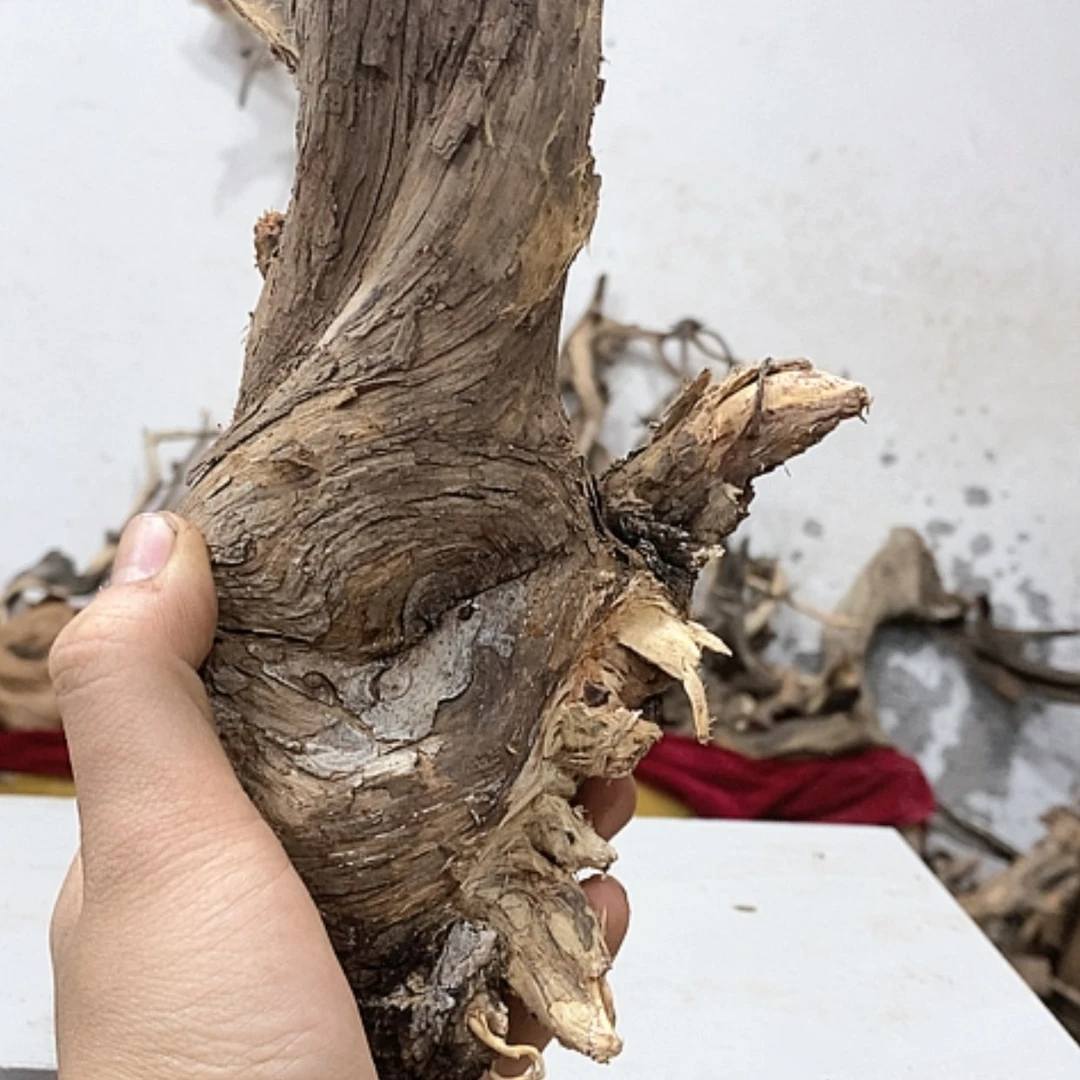 【闪购商品】柏木认****富我们都是好孩子