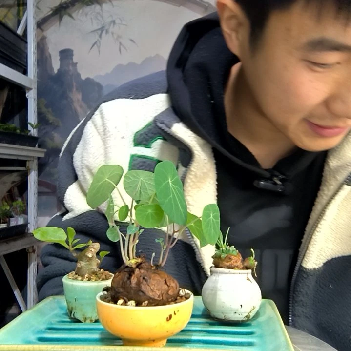 一*中青园艺一物一拍412