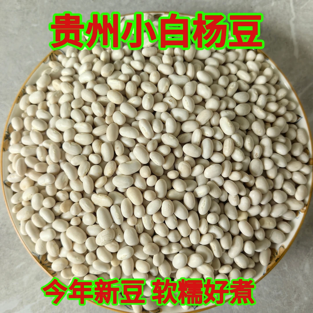 贵州当季小白杨豆干净新鲜