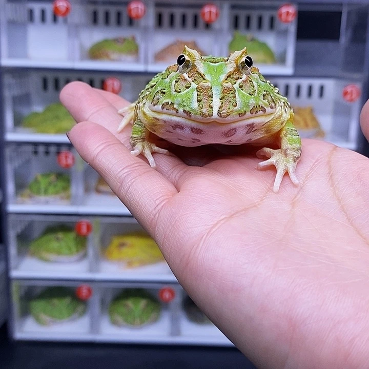 特价秒杀一切顺利