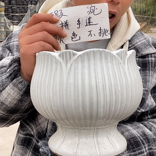 瑕疵颜色不挑瑕疵