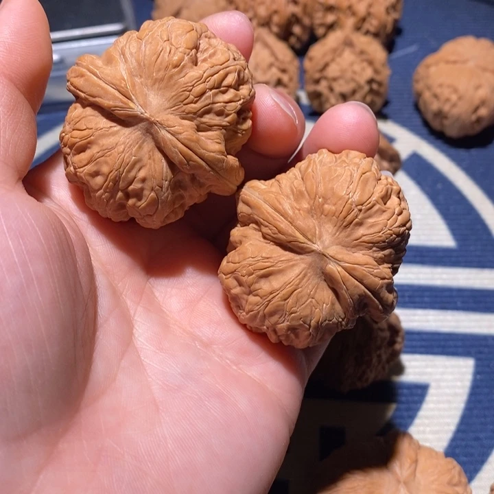 文玩核桃把件好***猫蛤蟆头有黄尖