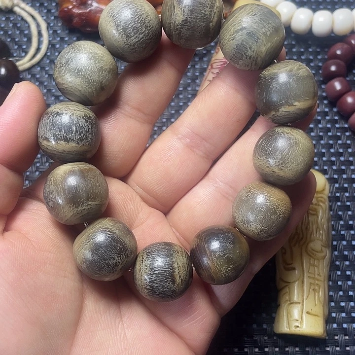 大果紫檀（缅甸花梨）