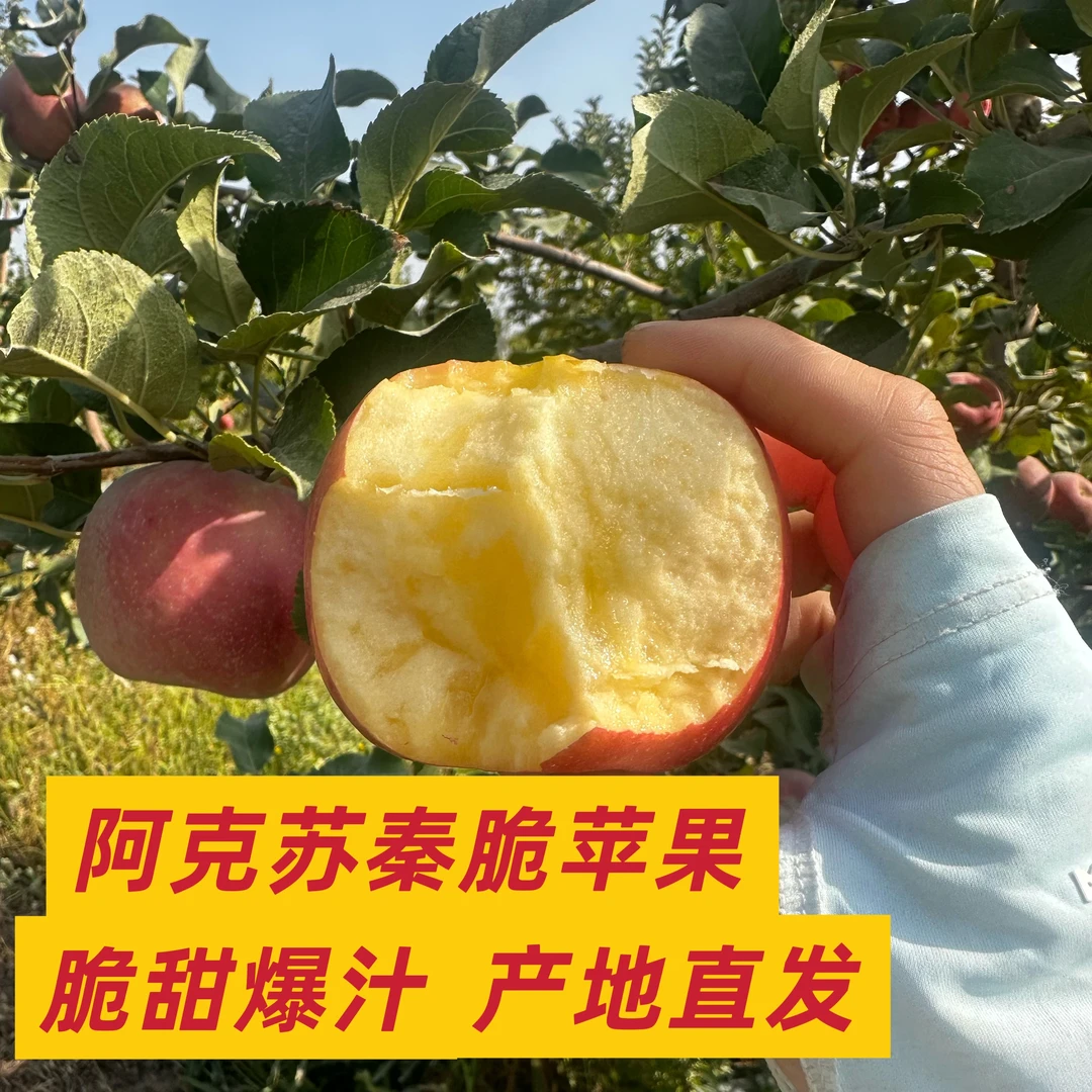 新疆阿克苏秦脆苹果冰糖脆脆甜多汁果肉细腻脆嫩爽口纯甜无酸